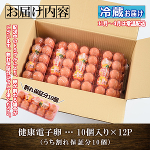 健康電子たまご（鶏卵）12パック 120個入り(内10個 宅配破損時 保証卵付) 【00-095-04】