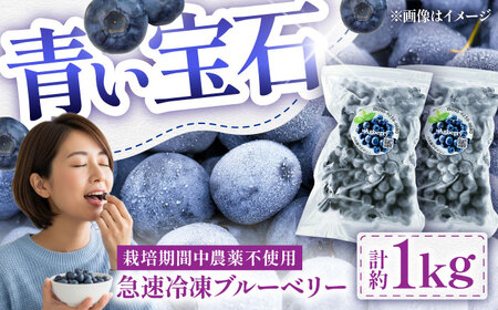 青い宝石国産急速冷凍 ブルーベリー 計約1kg ブルー ベリー BHCX005