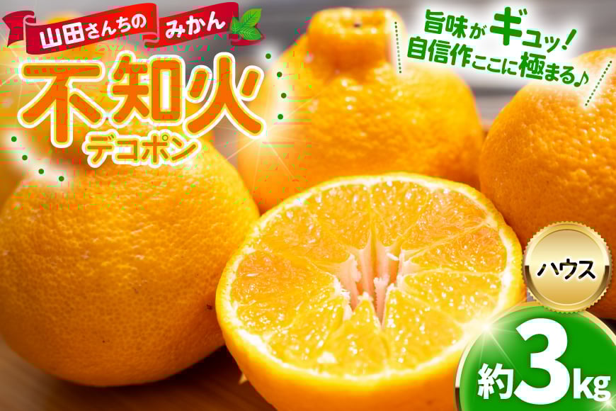
            みかん デコポン ハウス不知火 約3kg [山田公彦 長崎県 東彼杵町 hs42bag330000] 果物 柑橘 国産 長崎県産 東彼杵
          
