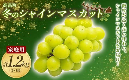 ≪先行予約≫2024年 山形県 高畠町産 ご家庭用 冬のシャインマスカット 1.2kg（2～4房） 2024年12月中旬から順次発送 クリスマス Xmas 年内届け ぶどう ブドウ 葡萄 マスカット 大粒 種なし 高級 くだもの 果物 フルーツ 訳あり 自宅用 産地直送 農家直送 数量限定 F20B-971