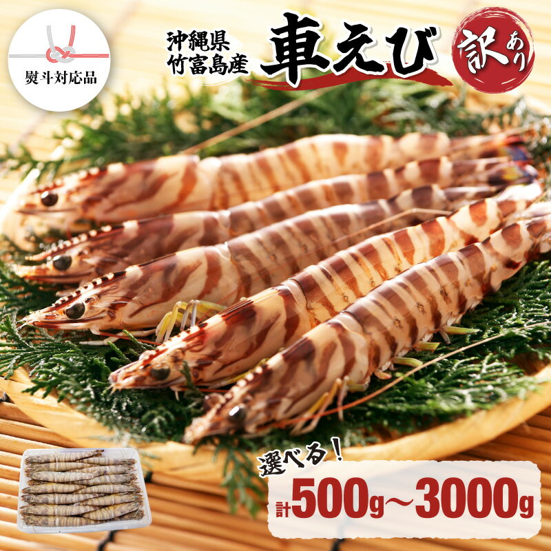 【ふるさと納税】訳あり 竹富島産 冷凍車えび 規格外品 500g〜3kg【内容量が選べる！】| 海老 車エビ エビ 車海老 500g 1kg 3kg 竹富島産 冷凍
