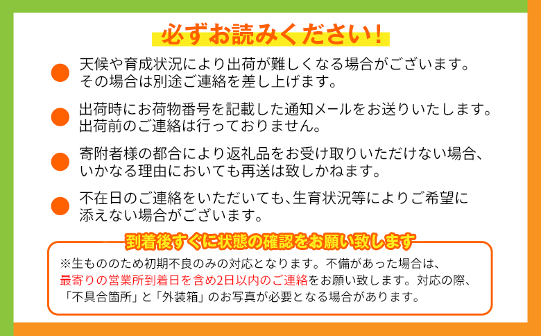 宮崎特産「完熟マンゴー2L×2玉」お届け定期便（全4回）計8玉 特産 国産 果物 フルーツ 旬 産地直送【F143-27】