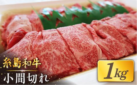 月限定10個の希少和牛！糸島和牛こまぎれ1kg トラヤミートセンター [AJD003]