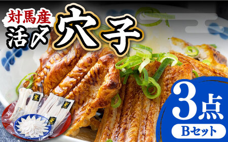 対馬産 活〆 穴子 ３点 セット B 新鮮 あなご 刺身 天ぷら 海鮮 2人前  [WAS002]