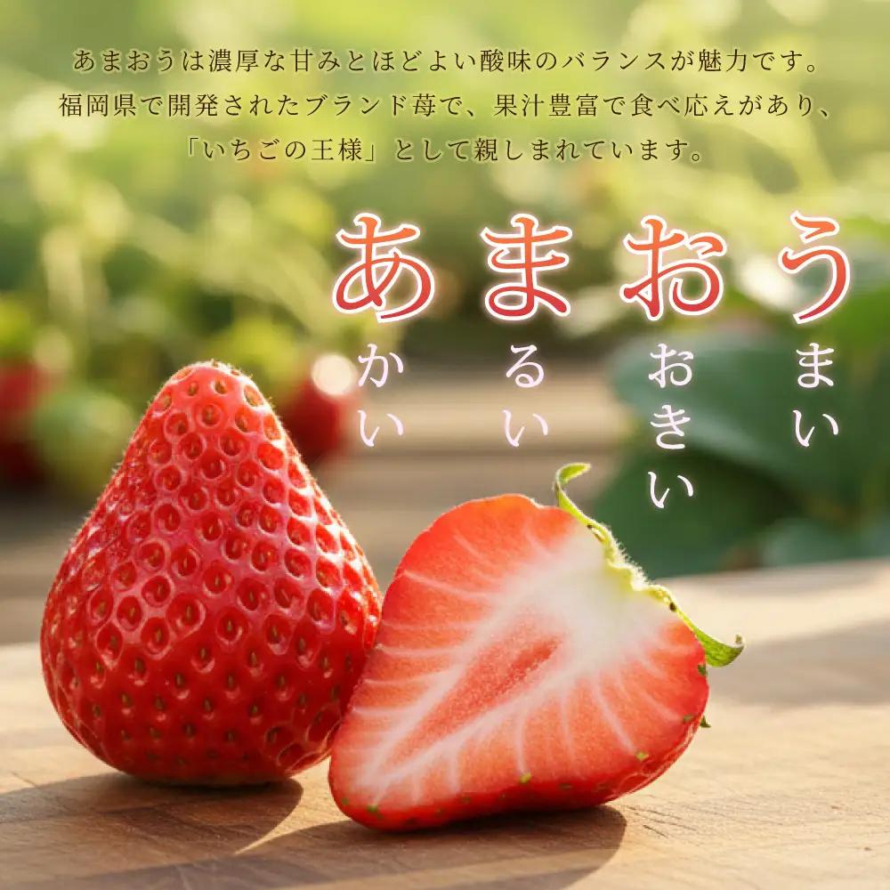 【先行予約／2027年出荷】福岡県産「あまおう」定期便3回お届け (1月・2月・3月) 2G3