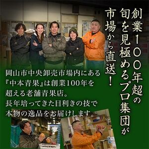 【発送月固定定期便】岡山県産 シャインマスカット『晴王』定期便全2回【配送不可地域：離島・北海道・沖縄県】【4007310】