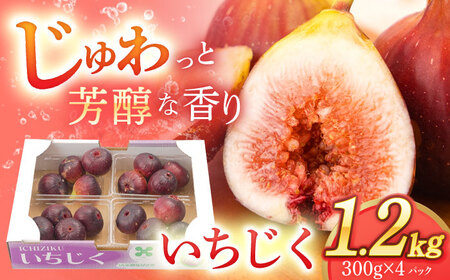 いちじく 約300g×4パック [OCU004] いちじく イチジク