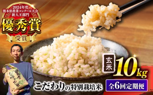 【先行予約】 【令和7年度】 【全6回定期便】 くまさんの輝き 玄米 10kg 計60kg（2025年10月下旬ごろ順次発送）【坂本農園】 [AYCC003]