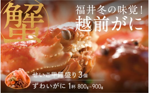 【選べる個数！産地直送】福井冬の味覚！越前がに（ずわいがに活 1杯）800～900g ＆ せいこ甲羅盛り3個 [I-00911] / せいこ セイコガニ ズワイガニ ズワイ蟹 ずわい蟹 剥き身 脚 爪 脚 かにしゃぶ カニ鍋 蟹 お歳暮