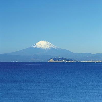 ふるさと納税 藤沢市 旬の湘南野菜おまかせセット　さとふる便 |  | 03