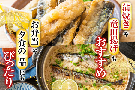 【北海道根室産】冷凍さんま20尾 A-70003
