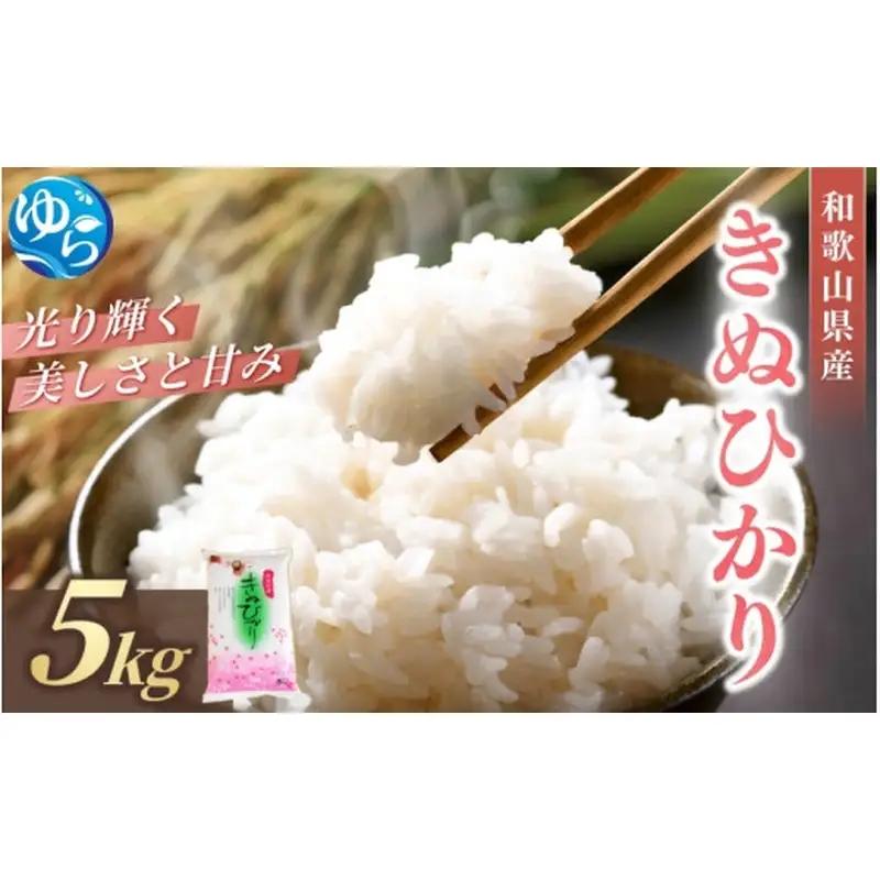 和歌山県産 キヌヒカリ 5kg（2025年産） / お米 きぬひかり 白米 由良町 令和7年 人気 おすすめ ※2025年9月中旬より順次発送予定【sml400-kinu-5D】