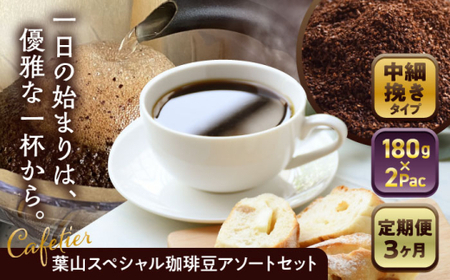 【全3回定期便】 【コーヒー粉 中細挽き】葉山スペシャル珈琲豆アソートセット 2パック入り コーヒー粉 珈琲豆 コーヒー【Cafetier】[ASAD010]