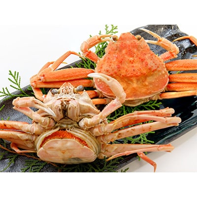 【発送月固定定期便】カニの定期便(松)全3回【配送不可地域：離島・北海道・沖縄県・東北・関東・九州】