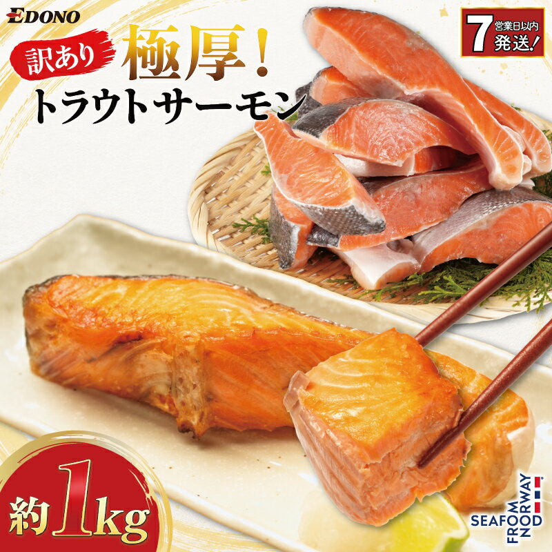 【ふるさと納税】 【スピード配送】 訳あり 極厚 トラウトサーモン 約 1kg 厚切り 厚切 塩さけ 塩鮭 銀鮭 さけ 鮭 サーモン 鮭カマ 切身 規格外 訳アリ 冷凍 バラ凍結 小分け ギフト お取り寄せ ふるさと納税鮭 ふるさと納税 送料無料 千葉県 銚子市 株式会社エドノフーズ