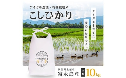 【10月上旬より順次出荷】令和7年産 米 JAS有機栽培米 アイガモ農法 こしひかり  玄米 10kg お米 コメ コシヒカリ