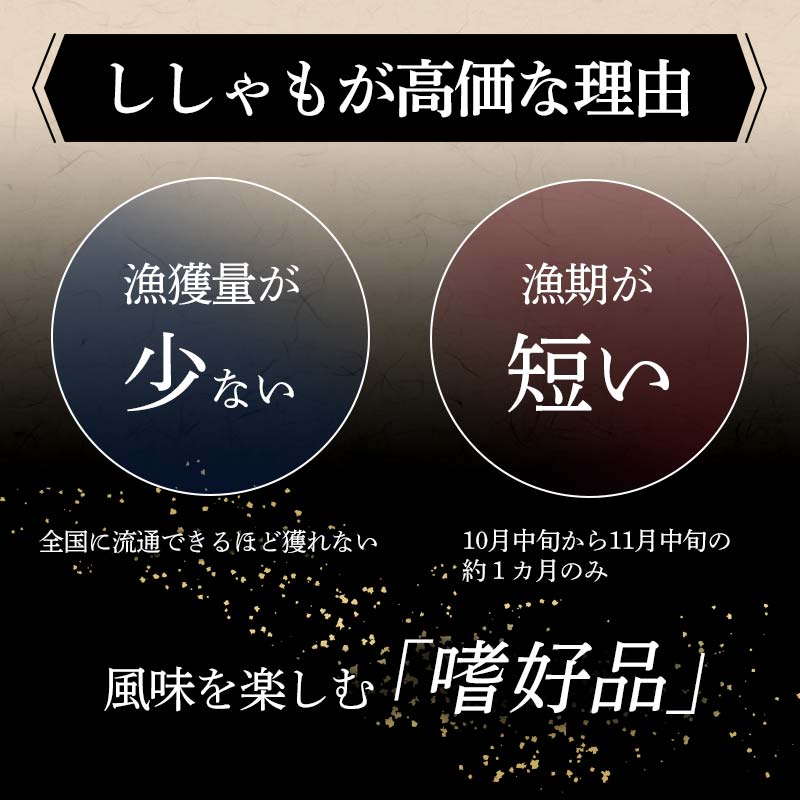 【期間限定！寄附額改定↓！】本場くしろ産 ししゃもメス60尾入り！ 本ししゃも 魚 ししゃも 魚好きのメス プチプチたまごのメス 魚介 グルメ シシャモ 北海道産 国産 魚 魚介 海の幸 F5F-01