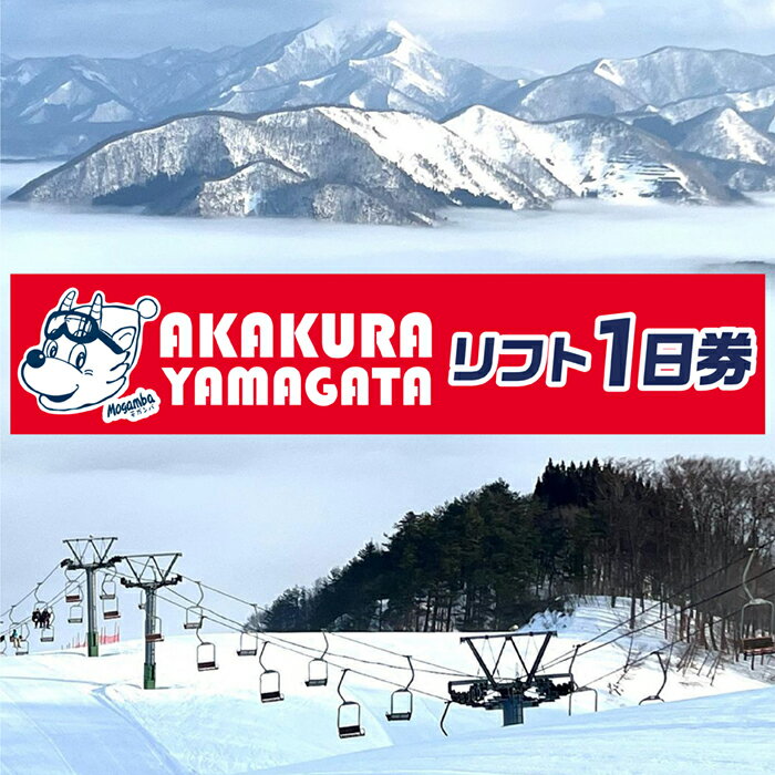 【ふるさと納税】山形県最上町赤倉温泉スキー場　1日リフト券　(大人1枚　子ども1枚)