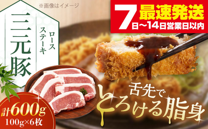 
            平田牧場 ロースステーキ 600g  (100g×6枚) ※藻塩ナシ《喜茂別町》【平田牧場】肉 豚肉 ロース ステーキ ステーキ用 とんかつ 生姜焼き 冷蔵配送 北海道 平田牧場 三元豚 [AJAP068] 13000 13000円
          