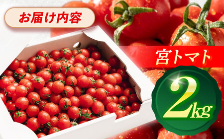 プチッと弾ける果汁「宮トマト」2kg / 野菜 やさい トマト とまと ミニトマト プチトマト / 諫早市 / 株式会社宮下農園 [AHCG012]