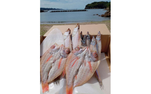 しまね浜田の美味しい のどぐろ カレイ 白イカ 沖キス 一夜干しセット 魚介類 魚貝類 魚 干物 一夜干し セット 詰め合わせ アカムツ【161_1708】