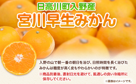 和歌山県産 みかん 約5kg(Sサイズ)冬木農園 《2024年12月上旬‐1月中旬頃出荷予定》 ｜みかんみかんみかんみかんみかんみかんみかんみかんみかんみかんみかんみかんみかんみかんみかんみかんみかん