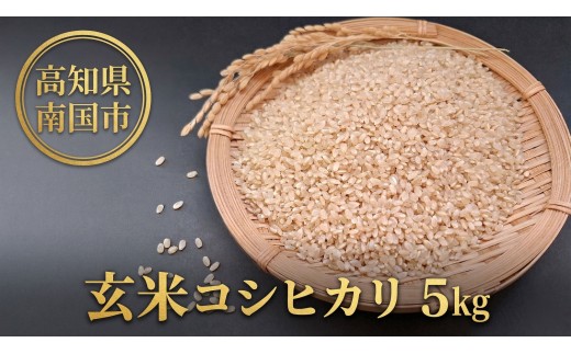 玄米 コシヒカリ 5キロ 5㎏ 数量限定 米 コメ お米 ご飯 おにぎり こめ 令和7年度 農家直送 産地直送 ふるさと納税  高知県 南国市
