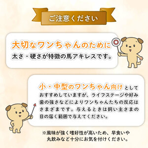 無添加 馬アキレスロング 9本 3本入×3袋 薄め [ペットフード ドッグフード ペットフード ドッグフード] KT017