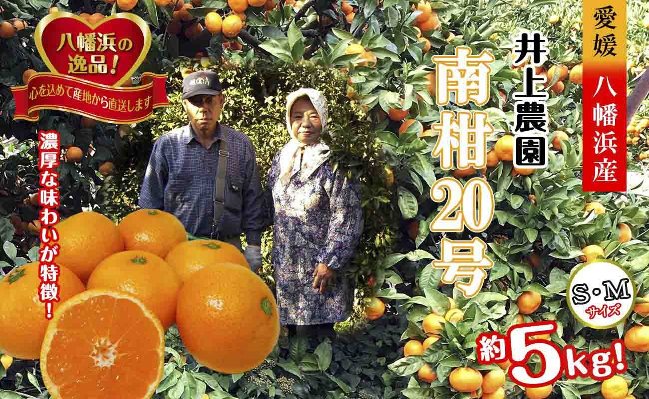 
                  M、Sサイズでお届け・濃厚な味わい! 井上農園「南柑20号」約5kg ＜C39-12＞【1245424】 YWTF005
                