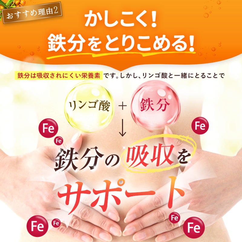 豊潤サジー 1000ml サジージュース【紙パックタイプ】 サジー ジュース 1本 紙パック 飲料 飲み物 常温 ギフト