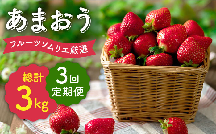
            先行予約【全3回定期便】福岡産【冬】あまおう4パック＜南国フルーツ株式会社＞那珂川市 [GCD045]
          