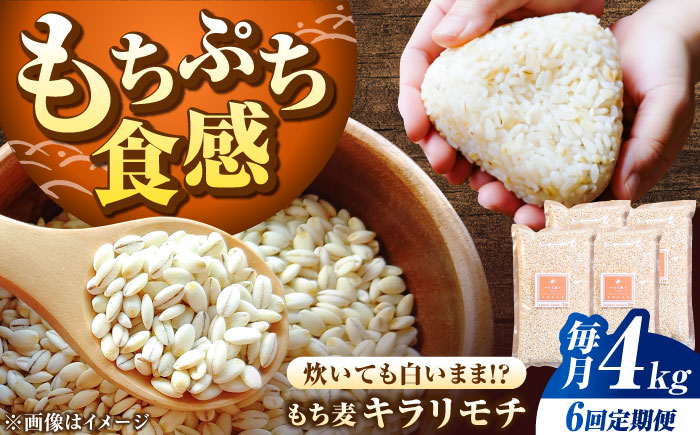 【全6回定期便】もち麦 キラリモチ 4kg（1kg×4袋）/ 佐賀県 / 大塚米穀店 [41ANAD010]