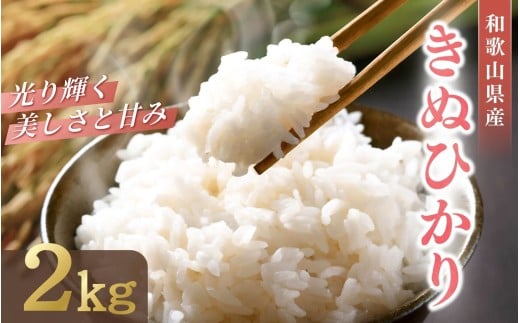 和歌山県産 キヌヒカリ 2kg(2025年産)  / 産地直送 米 こめ ご飯 ごはん お米 こめ 白米 和歌山 新米 ご飯 【sml138】