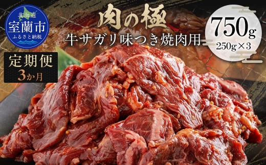 【3か月定期便】牛サガリ味つき焼肉用 750g (250g×3) 【ふるさと納税 人気 おすすめ ランキング 肉 牛肉 牛サガリ 牛 にく ニク 味付き 焼肉 バーベキュー BBQ 北海道 室蘭市 送料無料】 MROBM029