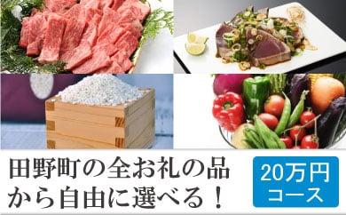 【四国一小さなまち】！年末限定！ 返礼品は後からゆっくり選べる寄附コース  ★B★ ～2023年度版～