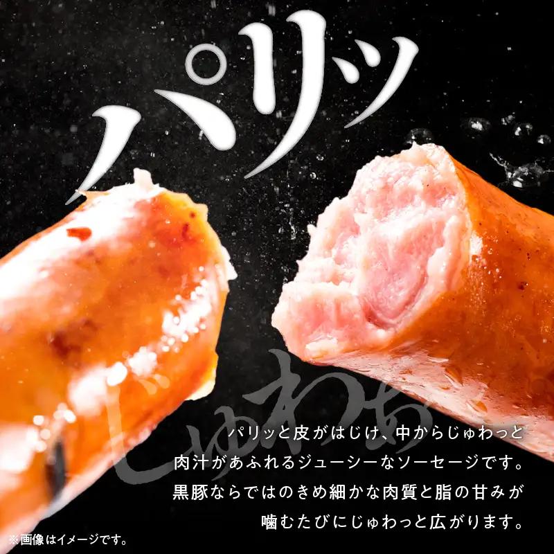鹿児島 黒豚 荒挽き フランク 900g KN005-013 豚肉 冷凍 ソーセージ