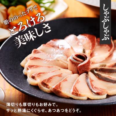 ふるさと納税 大竹市 レビューキャンペーン中!瀬戸内海レモン育ち 広島レモンサーモンとあたたブリtoレモンの詰め合わせ |  | 02