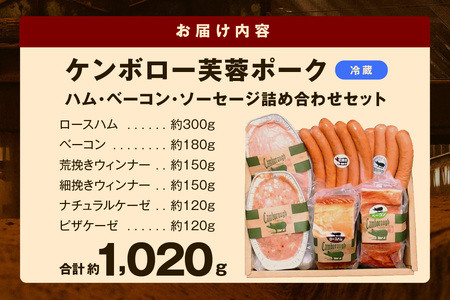 【DLGコンテスト2024金賞受賞】 浜田で生産・加工したケンボロー芙蓉ポーク ハム・ベーコン・ソーセージ詰め合わせ セット 豚肉 肉 ポーク 詰合せ 個包装 贈答 ギフト 冷蔵 芙蓉ポーク【002_