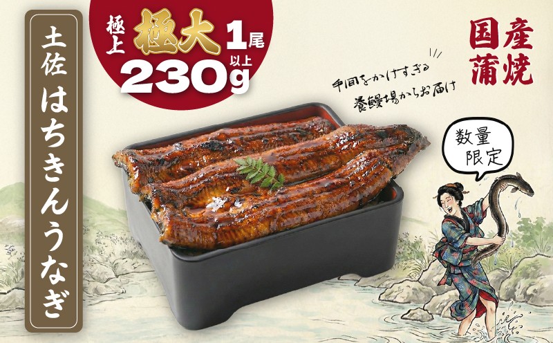 
                  限定 国産 鰻 土佐はちきん うなぎ 極大 蒲焼き 230g以上 × 1尾 | ウナギ かば焼き きざみ ひつまぶし めす 蒲焼 上 特上 大 特大 超特大 柔らか 極太 極上 贈答 限定 こだわり ギフト 冷凍 高知県 南国市
                
