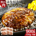 【ふるさと納税】熟成肉 はなが牛ハンバーグ 計約900g 約150g×6個 ハンバーグ 肉 牛肉 惣菜 おかず 洋食 ごちそう 簡単調理 お取り寄せ 冷凍 国産 愛媛県 送料無料 (621)