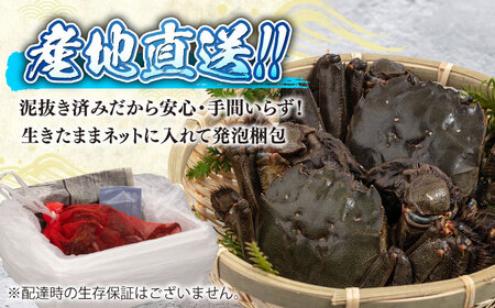 【11月下旬から3月下旬発送】新鮮 活モクズガニ 2kg (10～24杯前後) オス メス セット《築上町》【明青丸】 蟹 カニ カニ味噌[ABCB006]