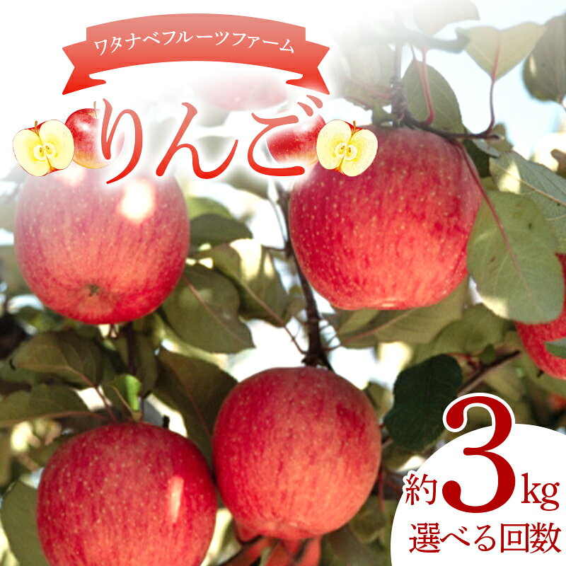 【ふるさと納税】＼選べる回数／ワタナベフルーツファームのりんご 約3kg（7～10玉） 1回 or 3か月定期便 りんご リンゴ フルーツ 果物 F6Q-385var
