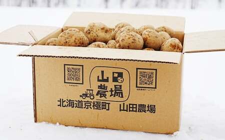 【訳あり】北海道産 じゃがいも キタアカリ M～2Lサイズ混載 約10kg 1箱 山田農場 ジャガイモ 芋 いも イモ 訳アリ わけあり ワケアリ 国産 【2025年9月下旬-2026年3月上旬迄発送
