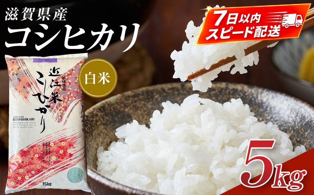 
                  【令和7年産】近江米コシヒカリ白米5kg
                