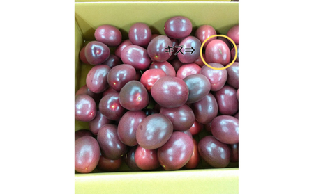 【2025年発送】奄美完熟パッションフルーツ 訳あり（約3kg） 鹿児島県 奄美群島 奄美大島 龍郷町 国産 奄美産 青果 果物 くだもの フルーツ 果物時計草 南国 トロピカル 初夏の果実 さわやか