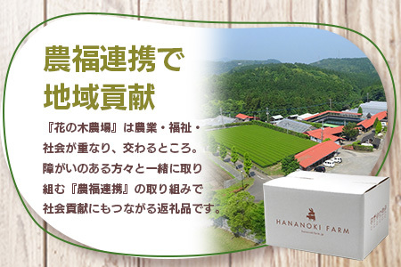 花の木農場 ハムセット　