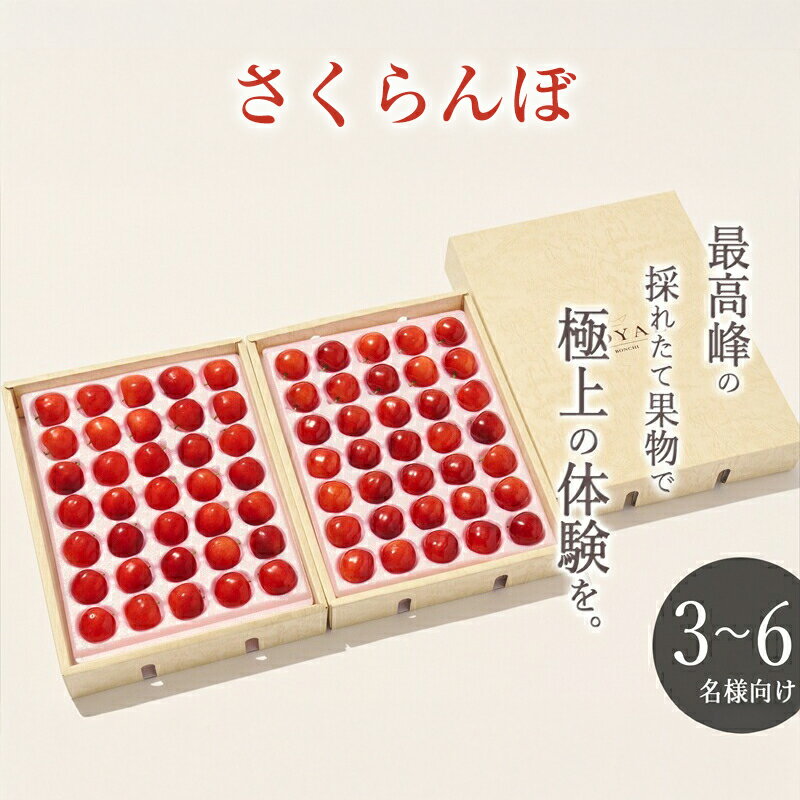 【ふるさと納税】 6-1-9 ＜2026年発送先行予約＞南アルプス市産 大粒さくらんぼ“佐藤錦” 2L,3Lサイズ 70粒入 ふるさと納税 おすすめ 山梨県 南アルプス市 送料無料 ALPAL016
