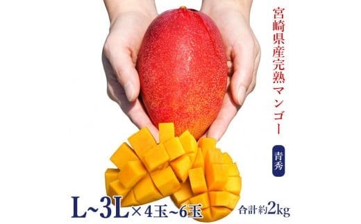 
                  宮崎県産完熟マンゴー[青秀] 合計約2kg（4～6玉）
                