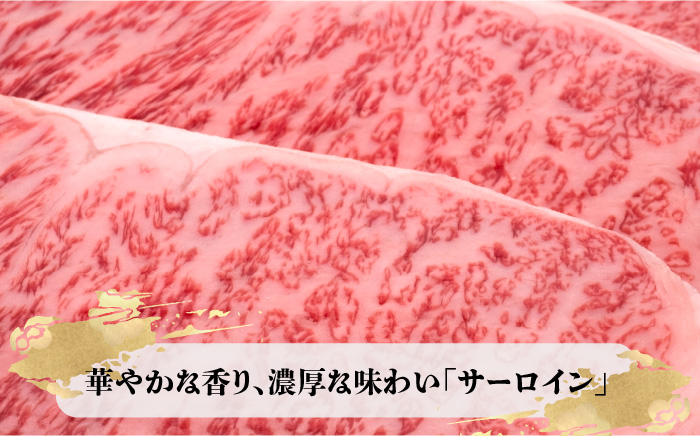 【全2回定期便】博多和牛 サーロイン ステーキ 200g×3枚＜久田精肉店＞那珂川市 [GDE008]