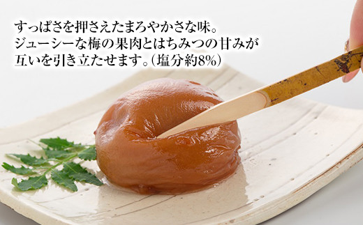 大粒の紀州南高梅 人気のはちみつ仕立て「極」20包